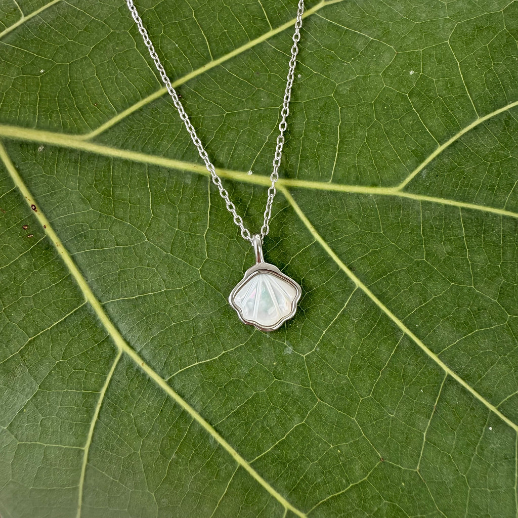 Oceana White Conch Shell Necklace