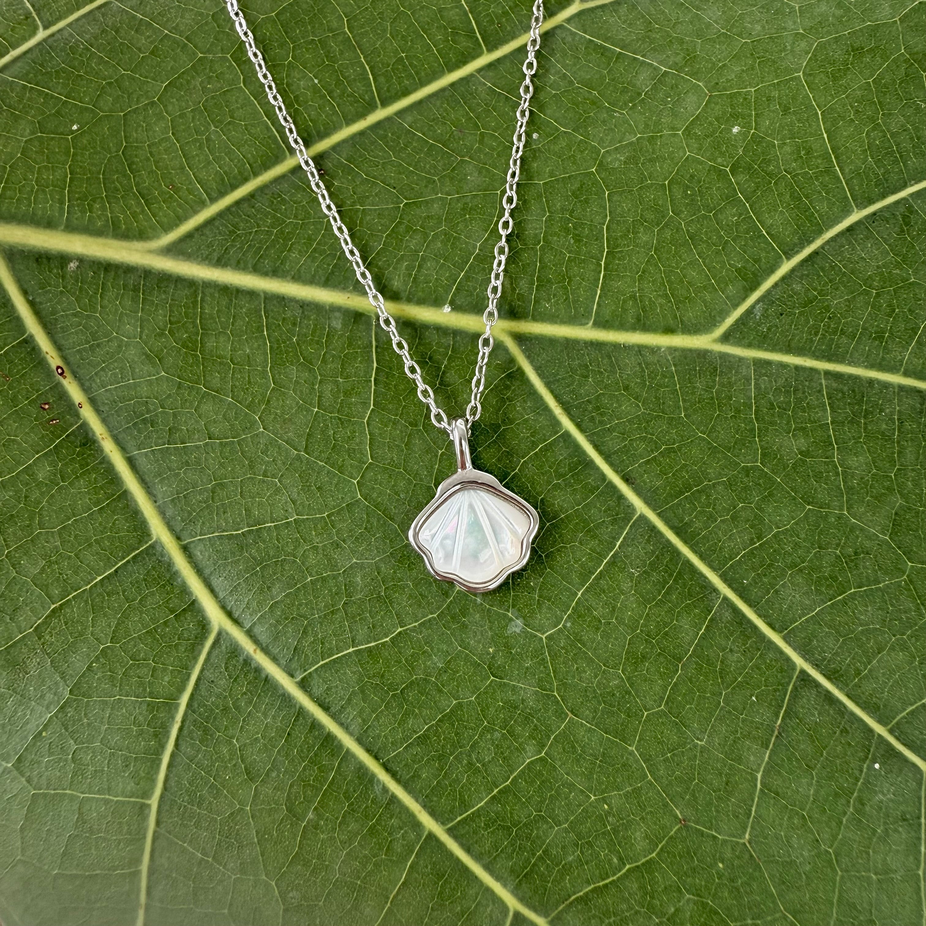 Oceana White Conch Shell Necklace